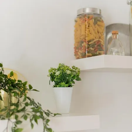 Apartment Ritos Charming And Relaxing House *