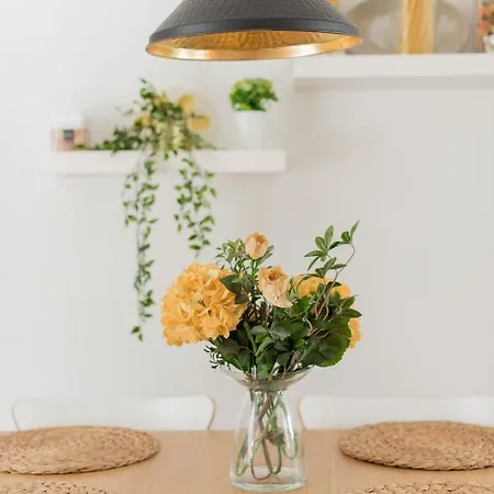 Apartment Ritos Charming And Relaxing House *